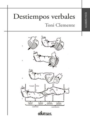 cover image of Destiempos verbales